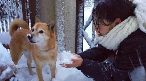 高木真備が飼っている犬の龍くん